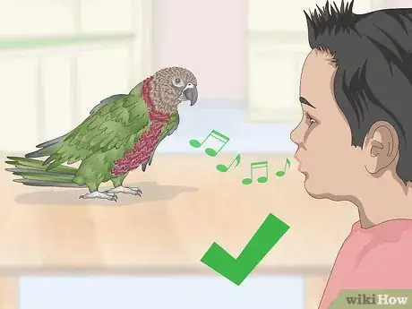Image titled Teach a Hawk‐Headed Parrot to Speak Step 4
