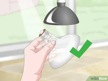 Image titled Prevent MBD in Chameleons Step 5