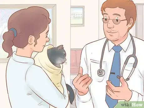 Image titled Diagnose and Treat Hypothermia in Cats Step 11