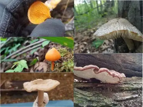 Image titled Marginn