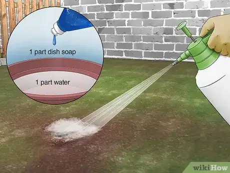 Image titled Get Rid of Bumble Bee Nests in the Ground Step 9