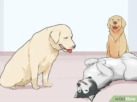 Image titled Bond with a Needy Dog Step 13