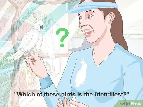 Image titled Choose a Cockatoo Step 17