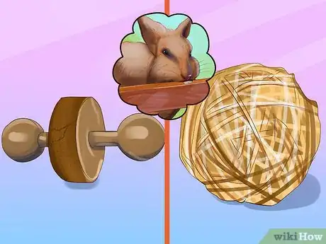 Image titled Choose Toys for Your Rabbit Step 1