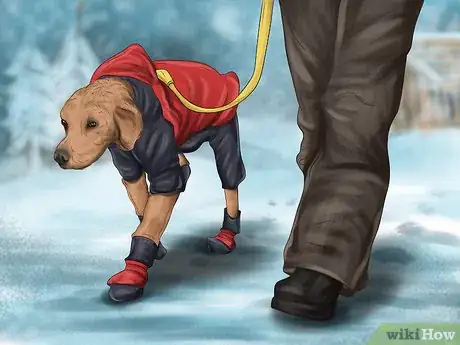 Image titled Keep an Older Dog Warm in Cold Weather Step 4