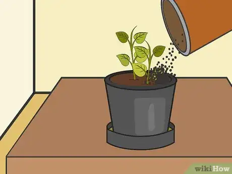 Image titled Plant Potatoes in Pots Step 15