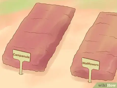 Image titled Grow Biennials Successfully Step 7