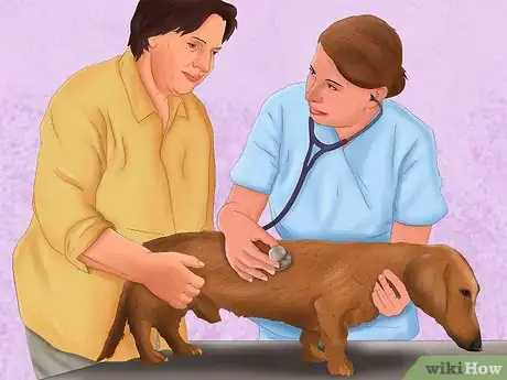 Image titled Make Your Home Safe for Your Dog Step 14