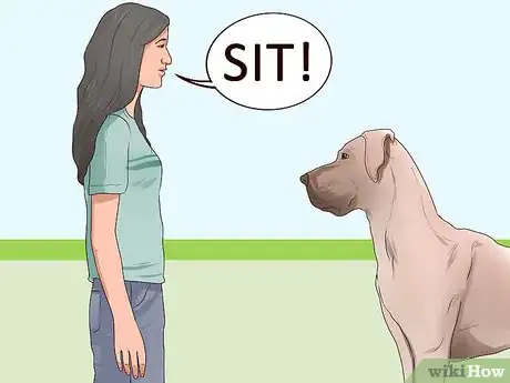 Image titled Walk a Big Dog As a Kid Step 8