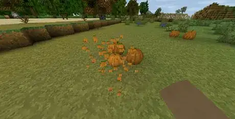 Image titled Survivalcraft 2020 05 23 10 46 01