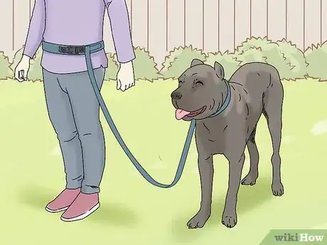 Image titled Walk a Dog on a Leash Step 5
