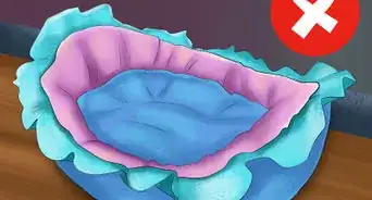 Choose a Heated Cat Bed or Pad