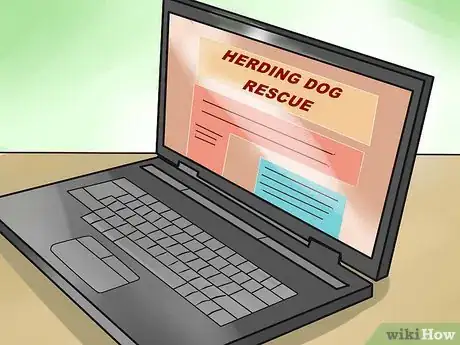 Image titled Adopt a Herding Dog Step 2