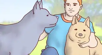 Choose a GPS Dog Collar