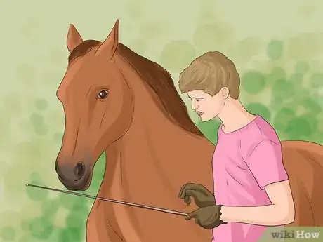 Image titled Join Up With a Horse Step 12