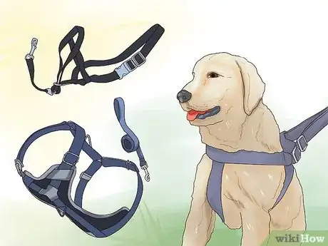 Image titled Walk a Big Dog As a Kid Step 4