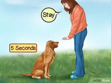 Image titled Avoid Confusing a Dog During Training Step 3