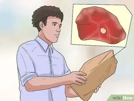 Image titled Care for Bernese Mountain Dogs Step 1