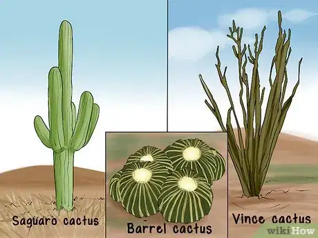 Image titled Design a Desert Garden Step 9