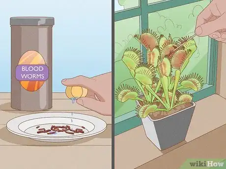 Image titled Raise Carnivorous Plants Step 17