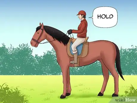 Image titled Train a Horse to Walk Through Water Step 2