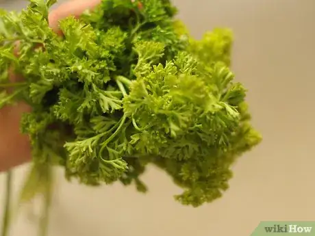 Image titled Prepare Parsley Step 1
