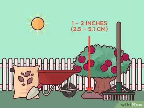 Image titled Save a Dying Rose Bush Step 15