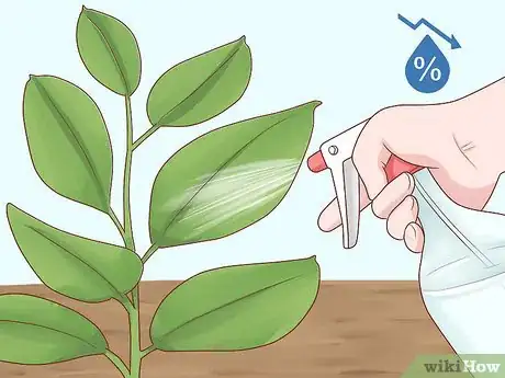 Image titled Grow a Rubber Tree Step 12