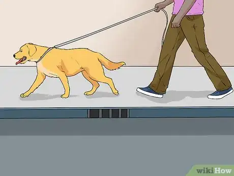 Image titled Keep a Dog from Chasing Cars Step 6