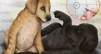 Prepare Your Small Dog for Apartment Living