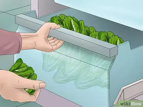 Image titled Prepare a Raw Food Diet Step 1