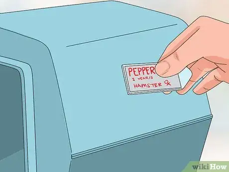 Image titled Travel With a Small Pet Step 3