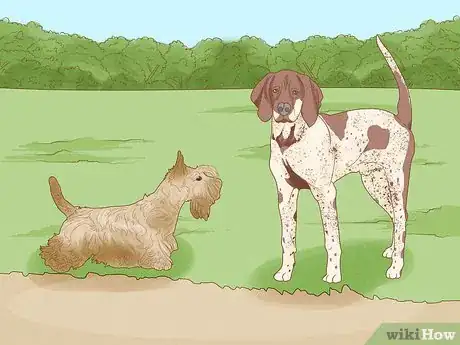 Image titled Prevent Dog Fights Step 22