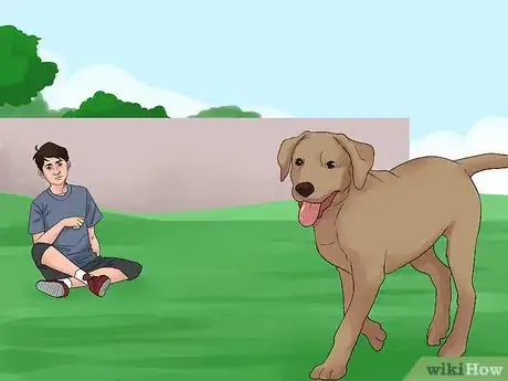 Image titled Catch a Runaway Dog Step 7