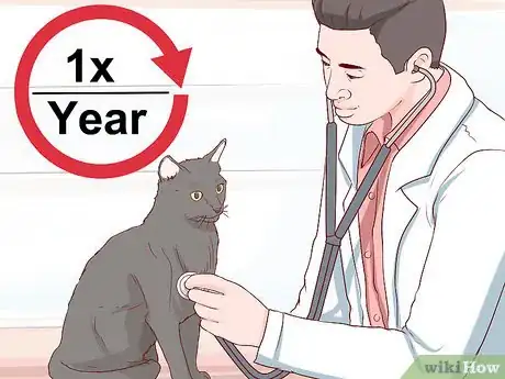 Image titled Take Care of a Chartreux Cat Step 6