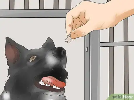 Image titled Buy a Dog Crate Step 11