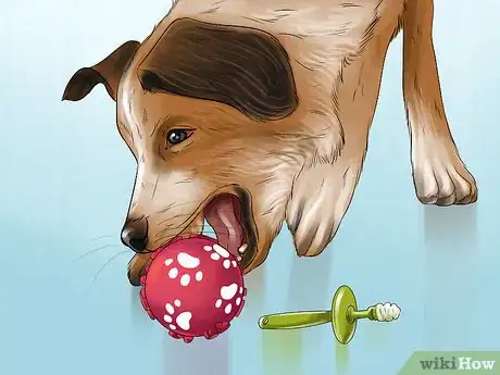 Image titled Keep an Indoor Dog Active Step 4