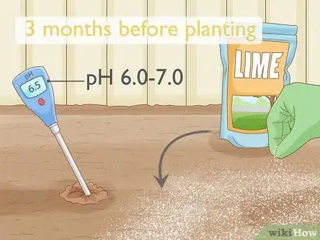 Image titled What Is a Good Soil Mix for Vegetable Gardens Step 9