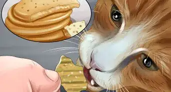 Avoid Feeding Your Cat Harmful People Foods