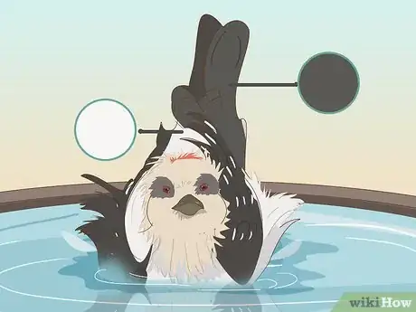 Image titled Attract Downy Woodpeckers Step 9