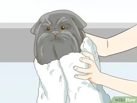 Image titled Groom an Affenpinscher Step 20