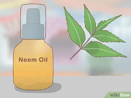 Image titled Choose an Insect Repellent for Kids Step 7