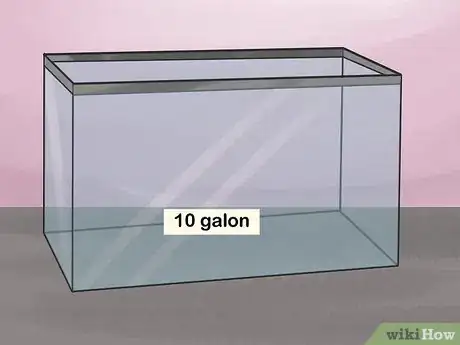 Image titled Breed Hermit Crabs Step 1