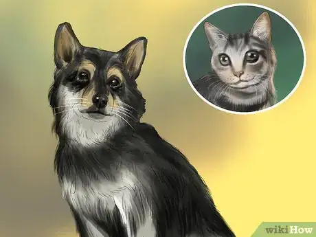 Image titled Take Care of a Li Hua Cat Step 14