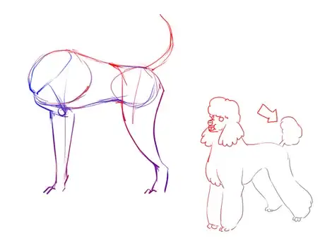 Image titled Poodle5.png