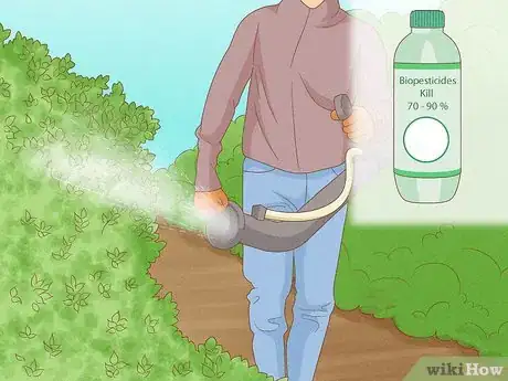 Image titled Control Locusts Step 1