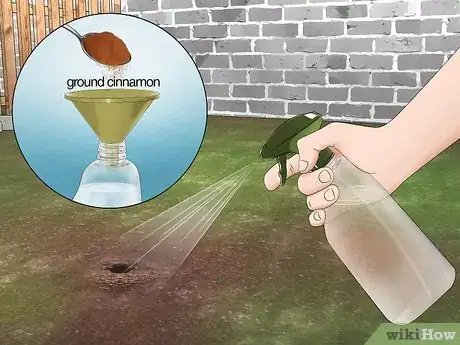 Image titled Get Rid of Bumble Bee Nests in the Ground Step 3