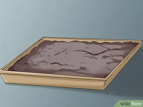 Image titled Take Care of Your Pet Green Anole Step 2