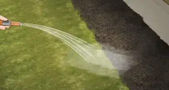 Install a French Drain