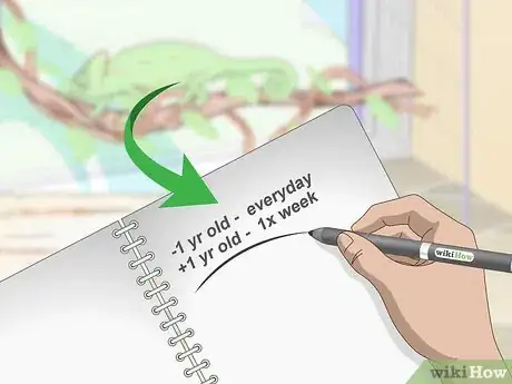 Image titled Prevent MBD in Chameleons Step 4